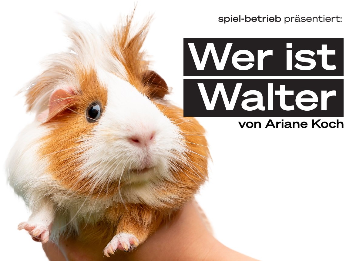 Theatergruppe spiel-betrieb: „Wer ist Walter“