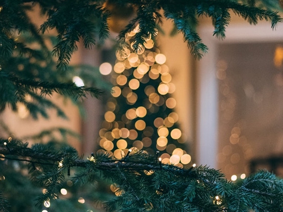 Weihnachten & Silvester