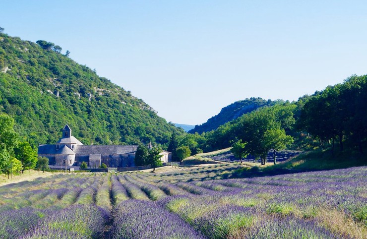Klassenfahrt Provence