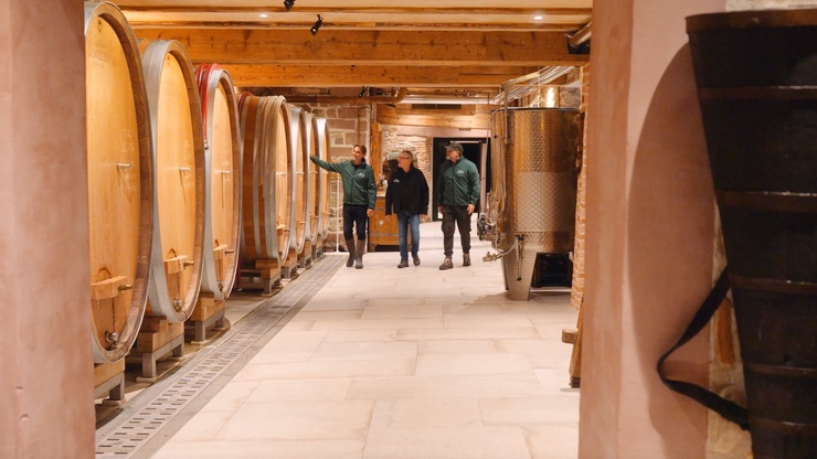 Vestibulum tortor quam, feugiat vitae, ultricies eget, tempor sit amet, ante.