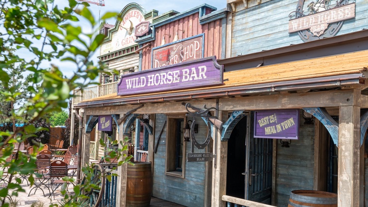 Vestibulum tortor quam, feugiat vitae, ultricies eget, tempor sit amet, ante.