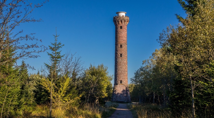 Vestibulum tortor quam, feugiat vitae, ultricies eget, tempor sit amet, ante.