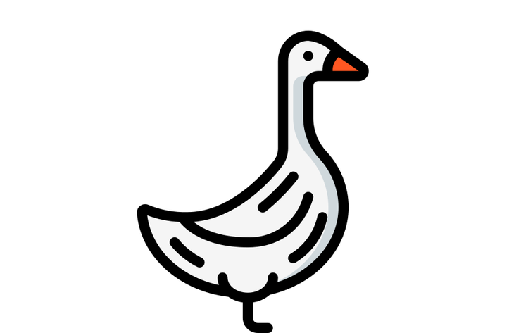 gans