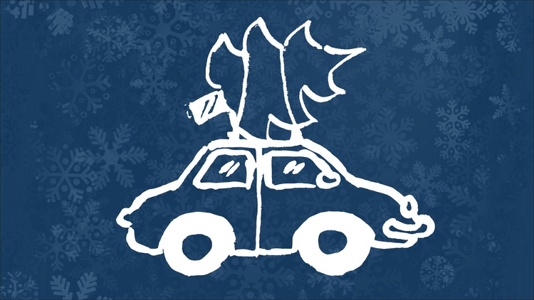 Auto mit Tannenbaum bei Mr. Wash