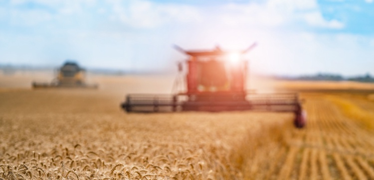 Landwirtschaft, Milchwirtschaft, Handel