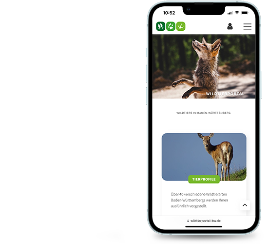 Wildtierportal, mobile Ansicht