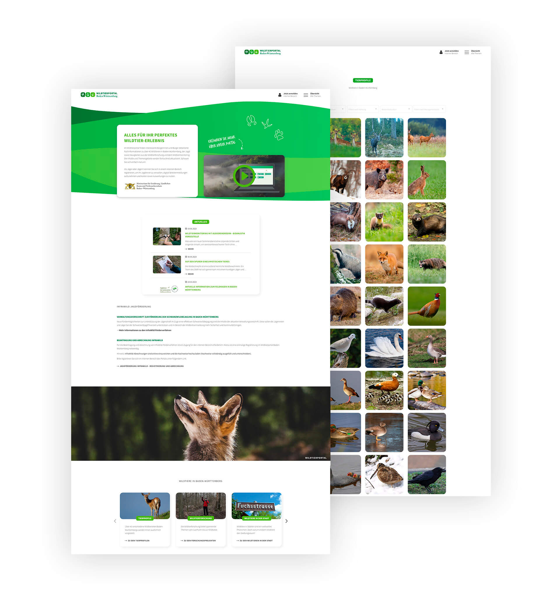 Wildtierportal, Übersicht